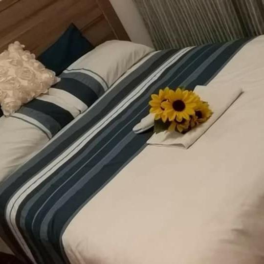 Midrand Bed And Breakfast Екстериор снимка